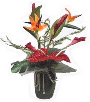 Tropical Arrangement